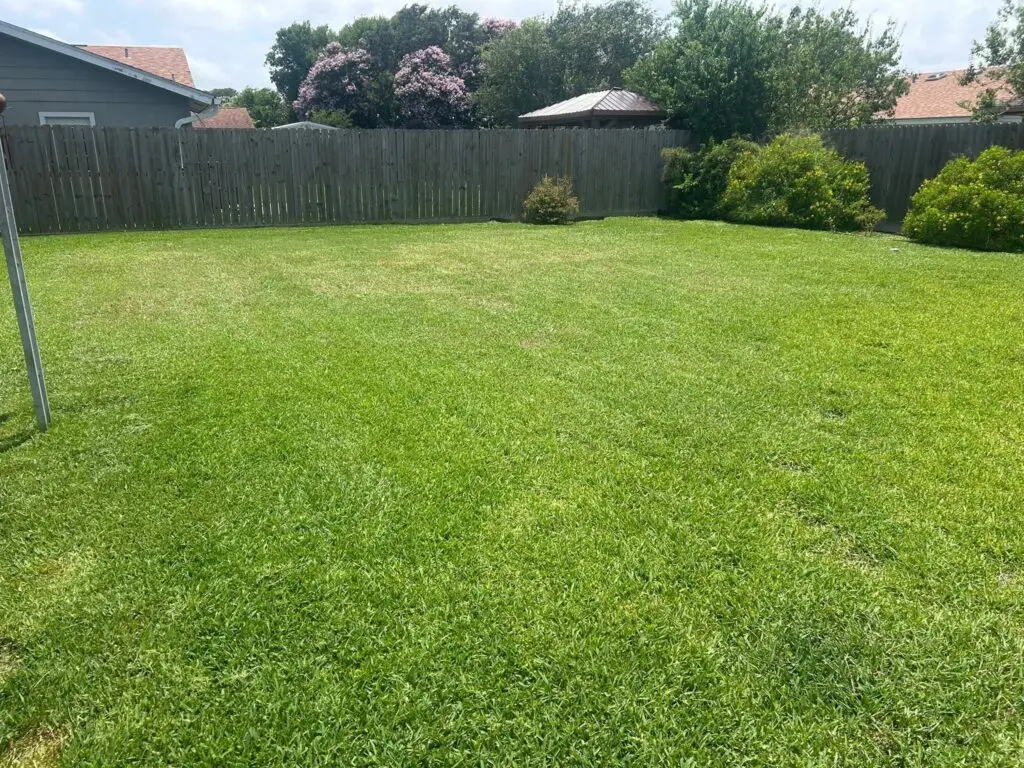Well-maintained backyard lawn with a wooden privacy fence.