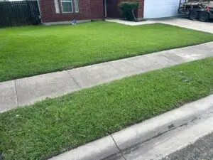 Close-up of a freshly mowed front lawn showing crisp edge lines along the sidewalk and driveway
