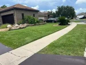 Front yard showing decorative stone edging around a landscape bed with palms, Corpus Christi Lawn Care