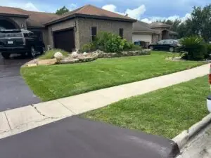 Front yard with curved stone landscape border, palm trees, and freshly mowed lawn beside a driveway