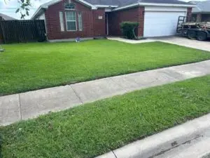 Wide view of a freshly mowed and edged front yard with clean stripe pattern in front of a brick home